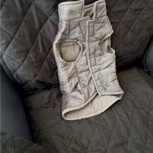 Thunder coat for dog